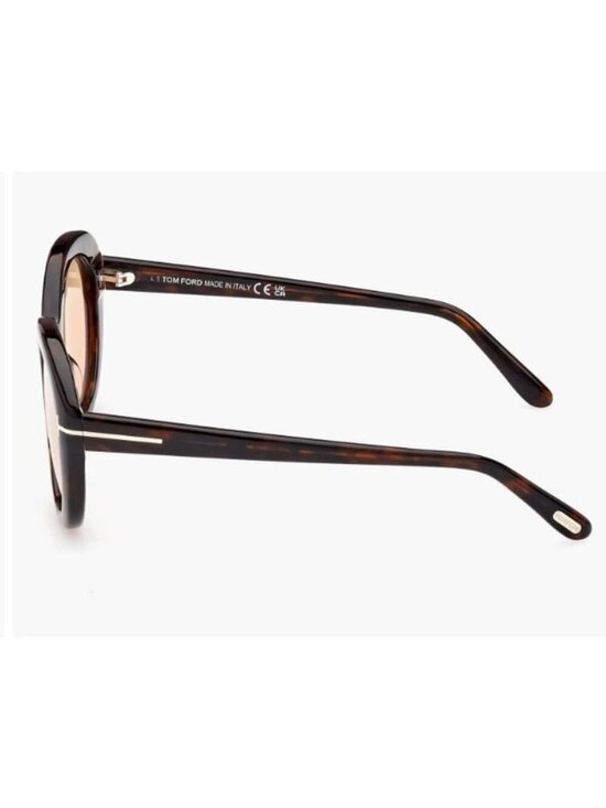 Tom Ford Lily 02 55 mm Tinted Cat Eye Sunglasses main image 4